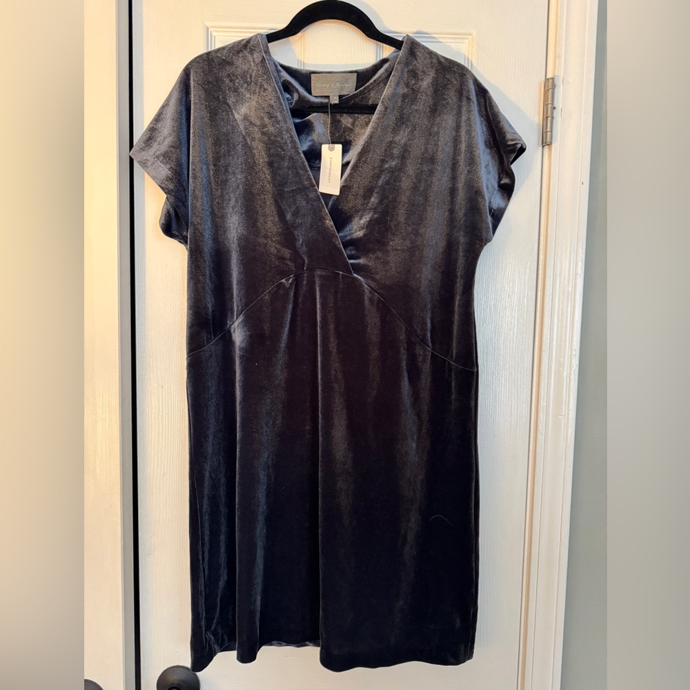 Anthropologie - Sunday in Brooklyn Nancy Velvet Dress